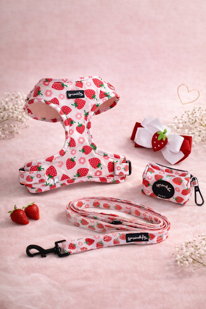 Bundle - Strawberry Shortcake Matching Harness, Leash, Poo Bag Holder and Harness Charm Bow