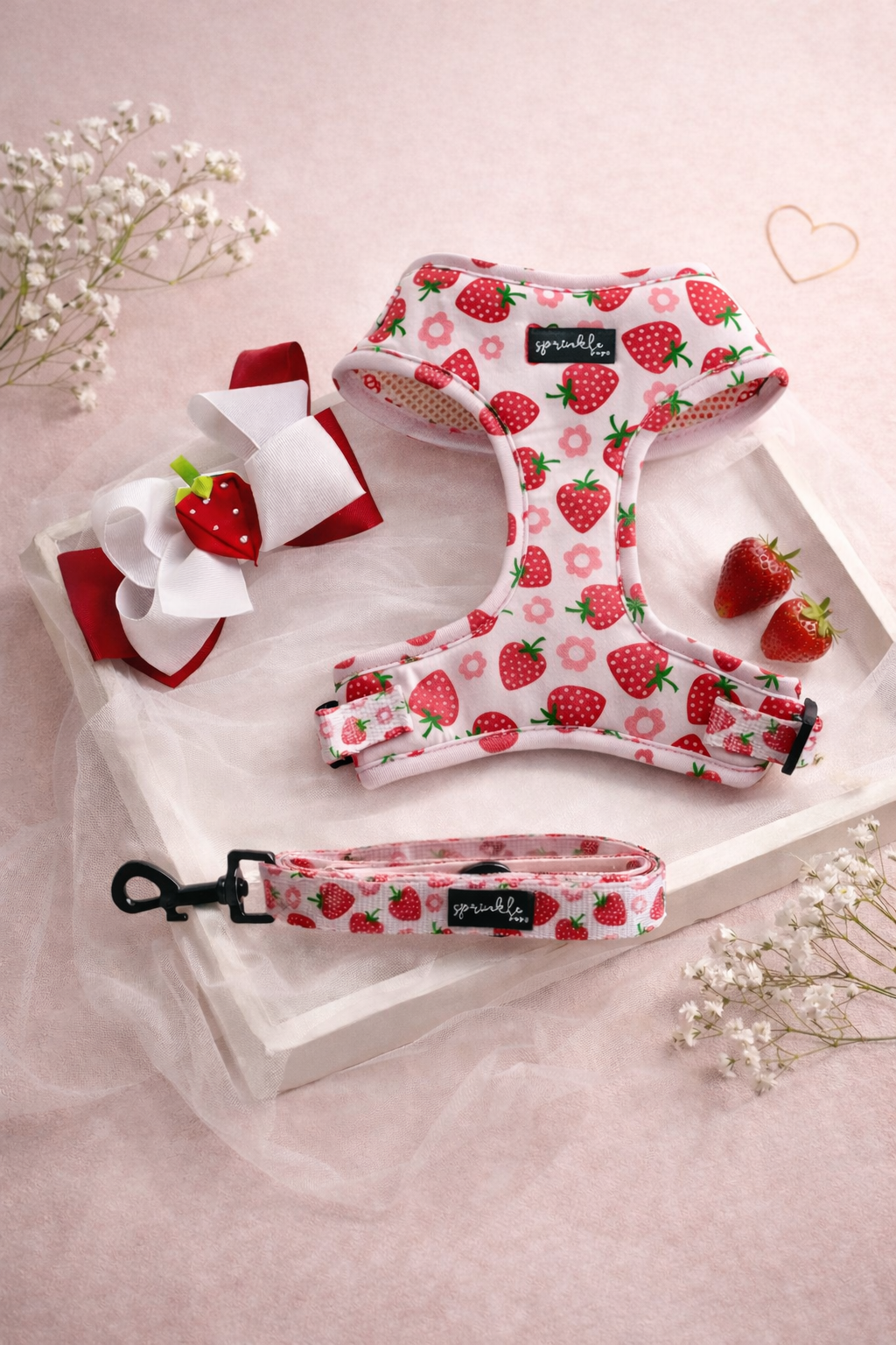 Bundle - Strawberry Shortcake Matching Harness, Leash and Harness Charm Bow