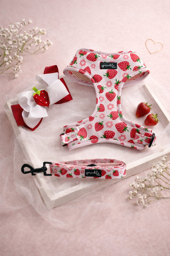 Bundle - Strawberry Shortcake Matching Harness, Leash and Harness Charm Bow