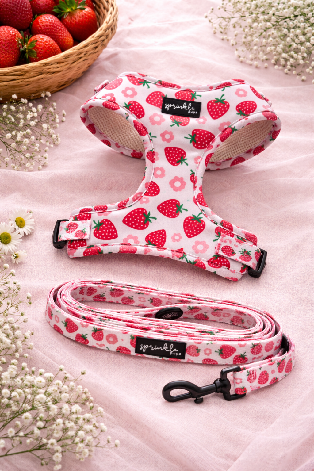 Bundle - Strawberry Shortcake Matching Harness and Leash Set