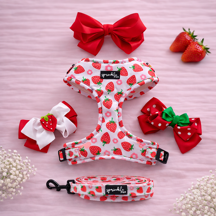 Bundle - Strawberry Shortcake Matching Harness, Leash and Harness Charm Bow