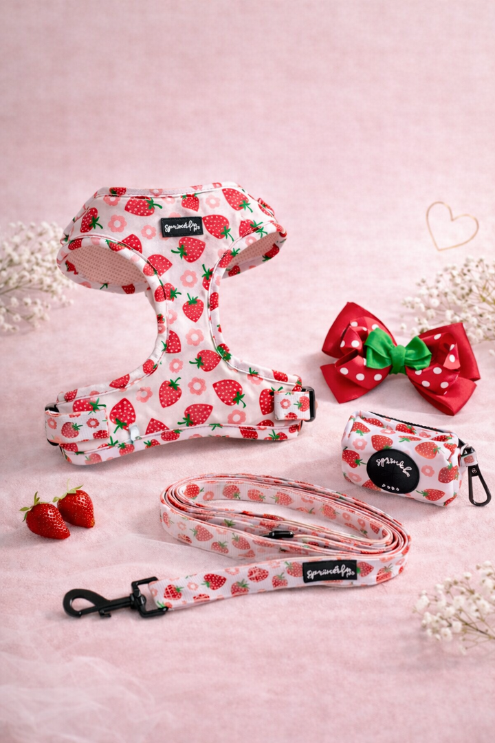 Bundle - Strawberry Shortcake Matching Harness, Leash, Poo Bag Holder and Harness Charm Bow