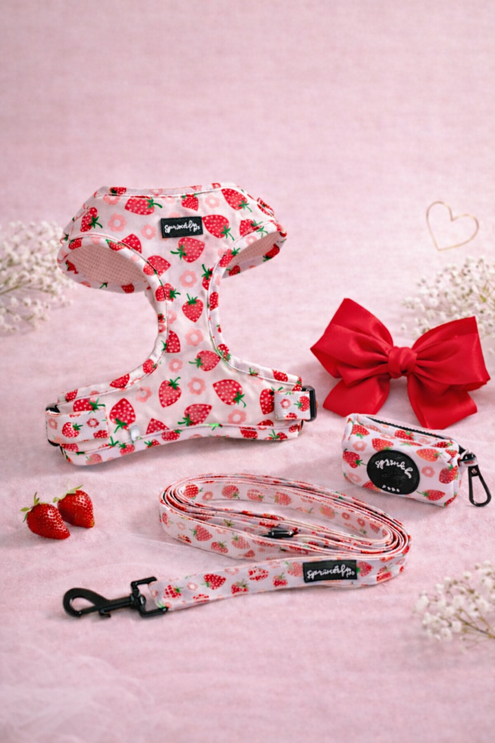 Bundle - Strawberry Shortcake Matching Harness, Leash, Poo Bag Holder and Harness Charm Bow