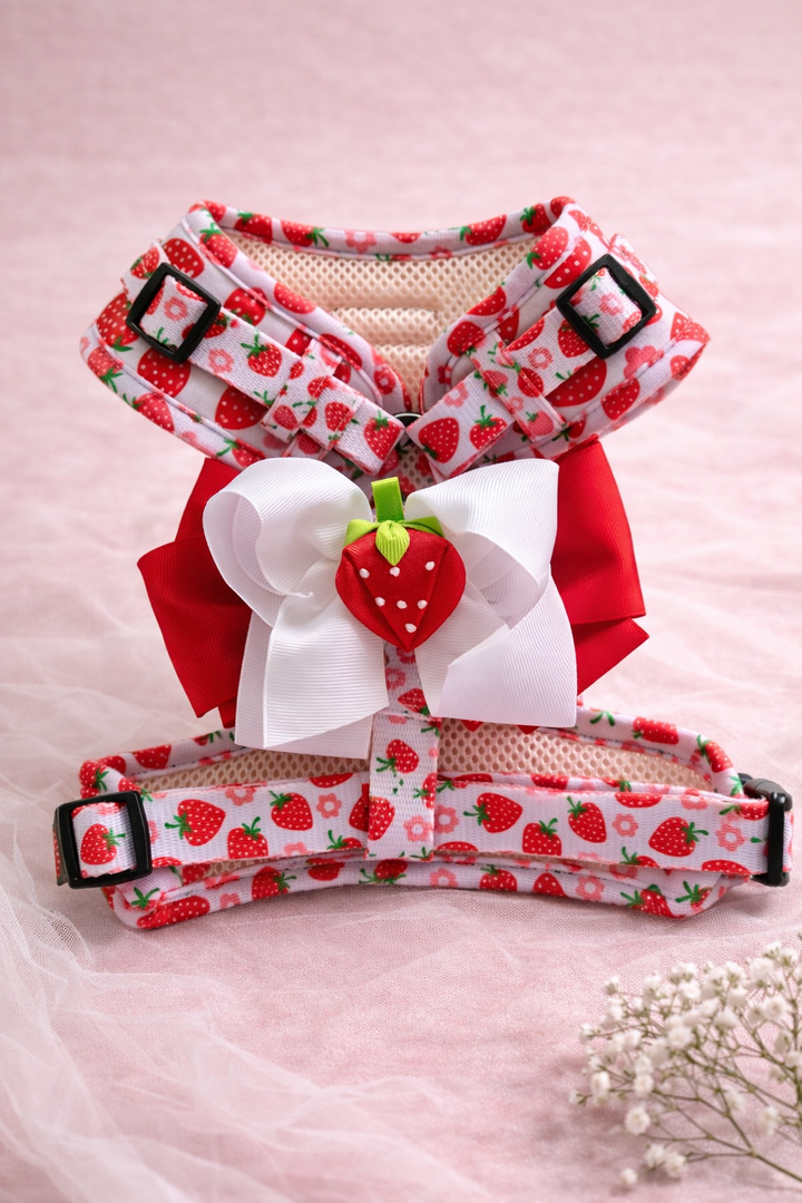 Bundle - Strawberry Shortcake Matching Harness, Leash and Harness Charm Bow