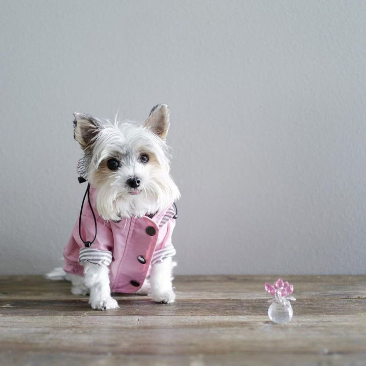 Pretty and Pink Raincoat for Dogs