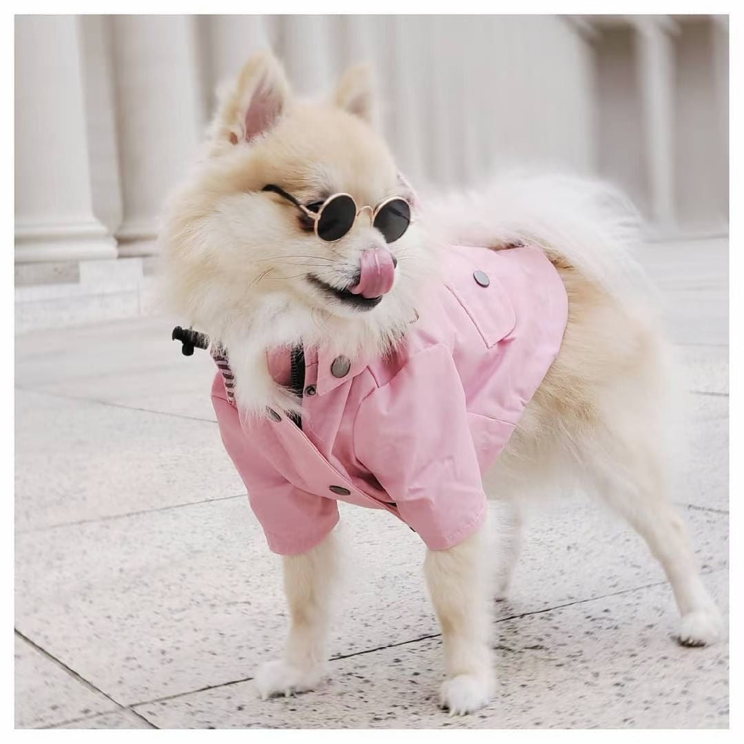 Pretty and Pink Raincoat for Dogs