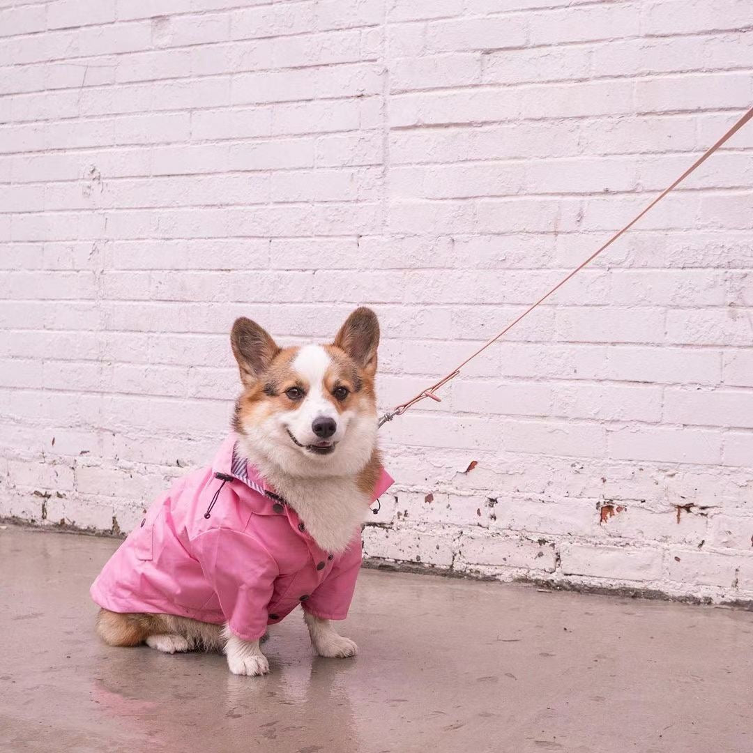 Pretty and Pink Raincoat for Dogs