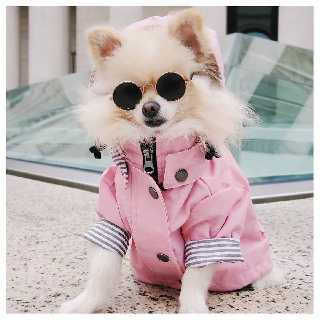 Pretty and Pink Raincoat for Dogs