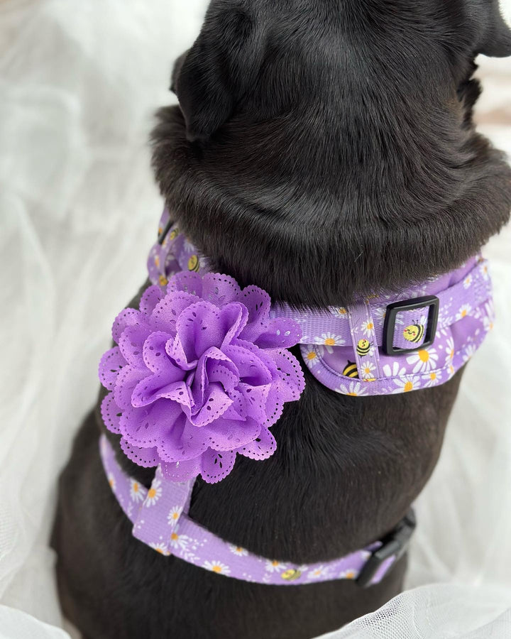 Harness Flower Charm - Simple and Sweet