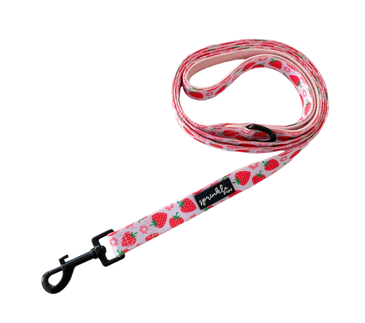 Adjustable Dog Harness - Strawberry Shortcake