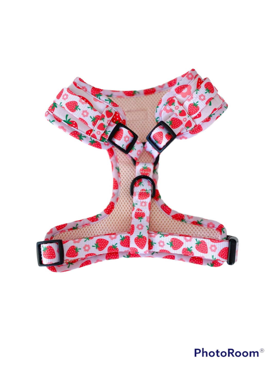 Bundle - Strawberry Shortcake Matching Harness, Leash and Harness Charm Bow