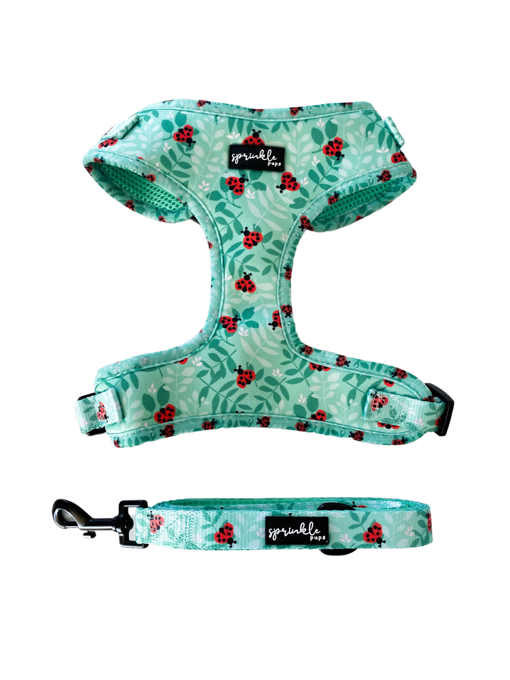 Bundle - Ladybug Love Matching Harness and Leash Set