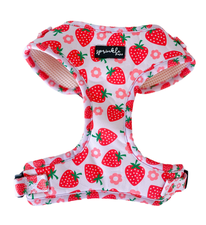 Bundle - Strawberry Shortcake Matching Harness, Leash and Harness Charm Bow