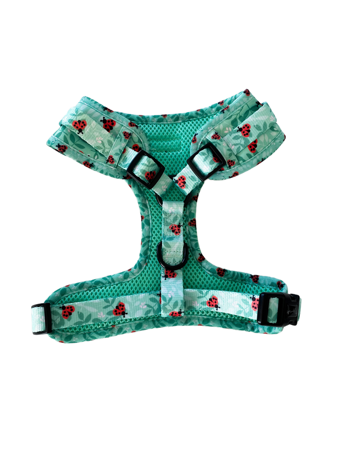 Bundle - Ladybug Love Matching Harness and Leash Set