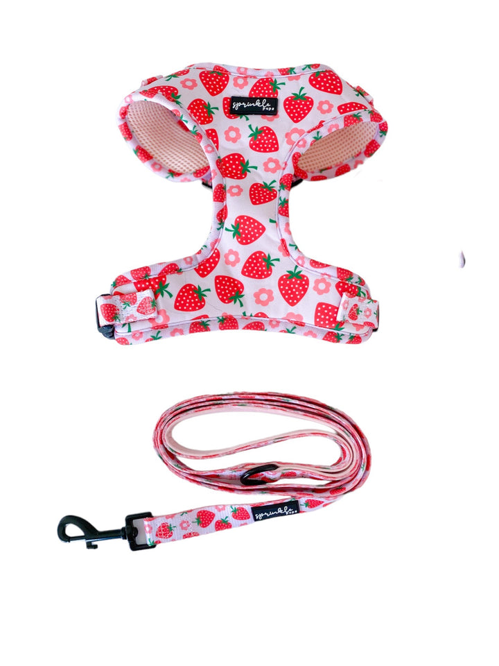 Bundle - Strawberry Shortcake Matching Harness and Leash Set