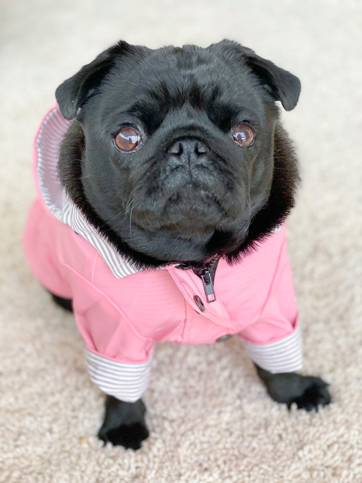 Pretty and Pink Raincoat for Dogs