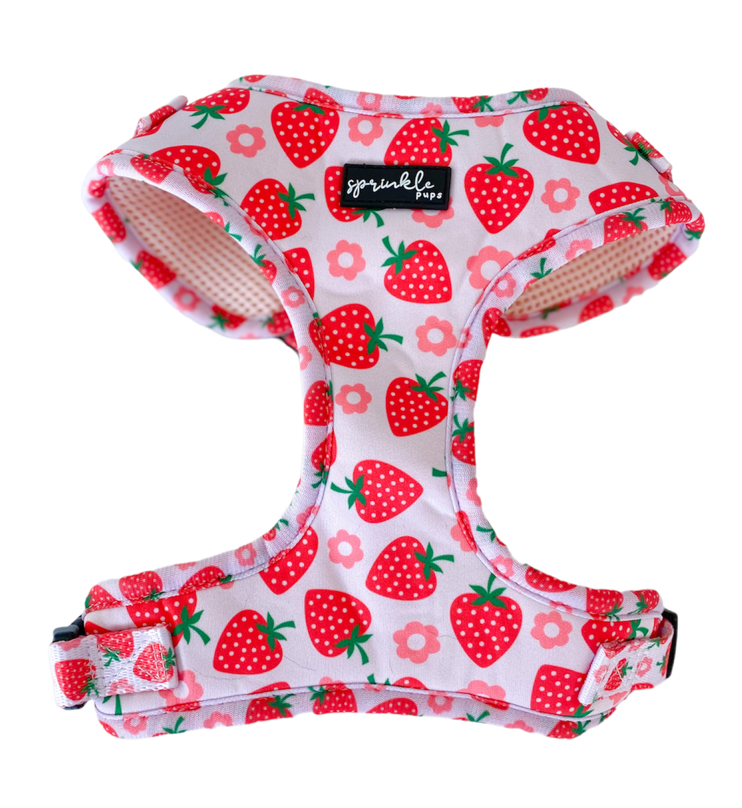 Matching Adjustable Dog Harness, Leash, Poo Bag Set - Strawberry Shortcake