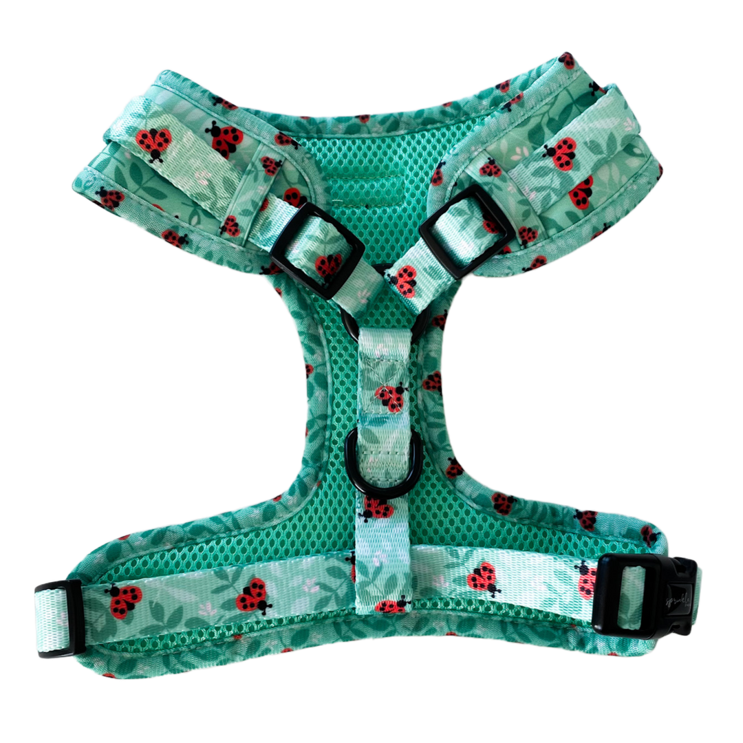 Adjustable Dog Harness - Ladybug Love