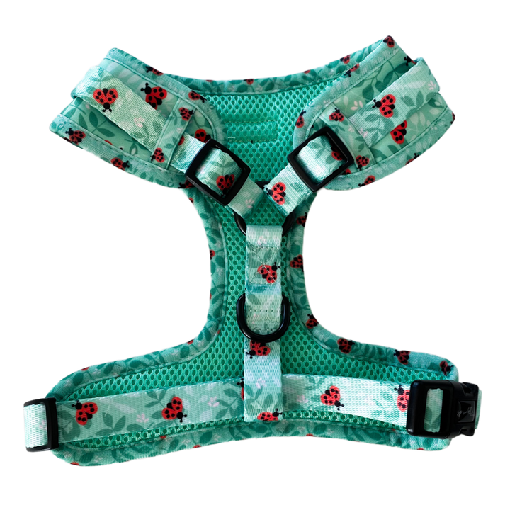 Adjustable Dog Harness - Ladybug Love