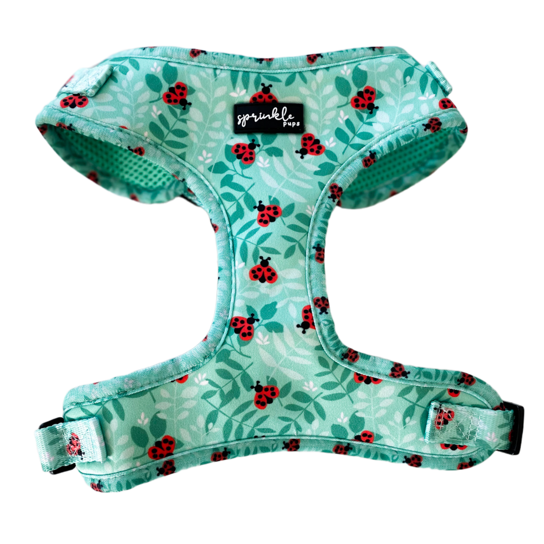 Adjustable Dog Harness - Ladybug Love