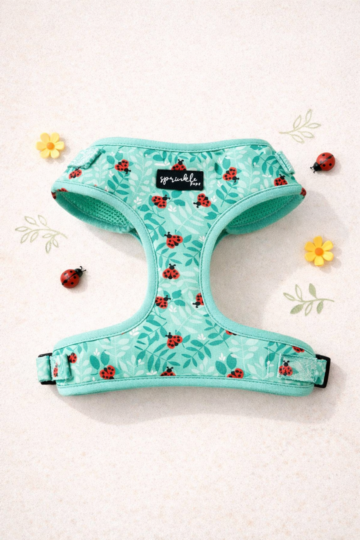 Bundle - Ladybug Love Matching Harness and Leash Set