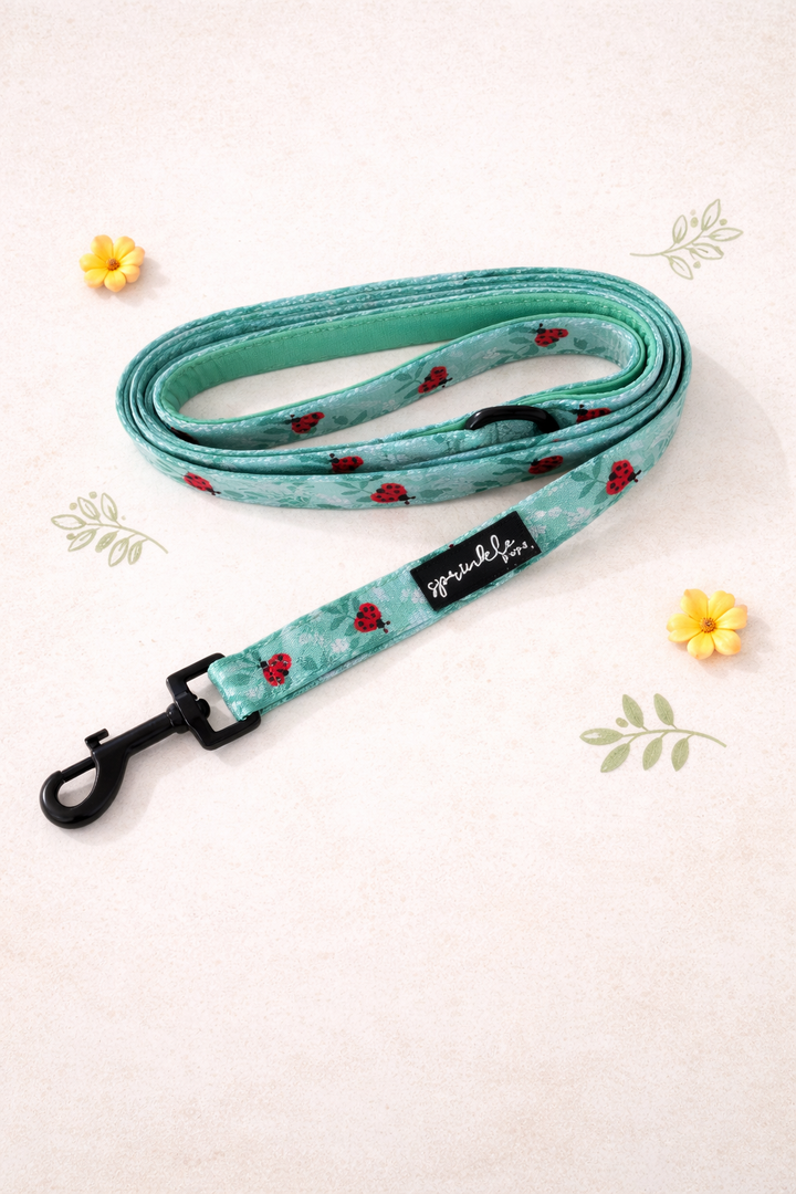 Bundle - Ladybug Love Matching Harness and Leash Set