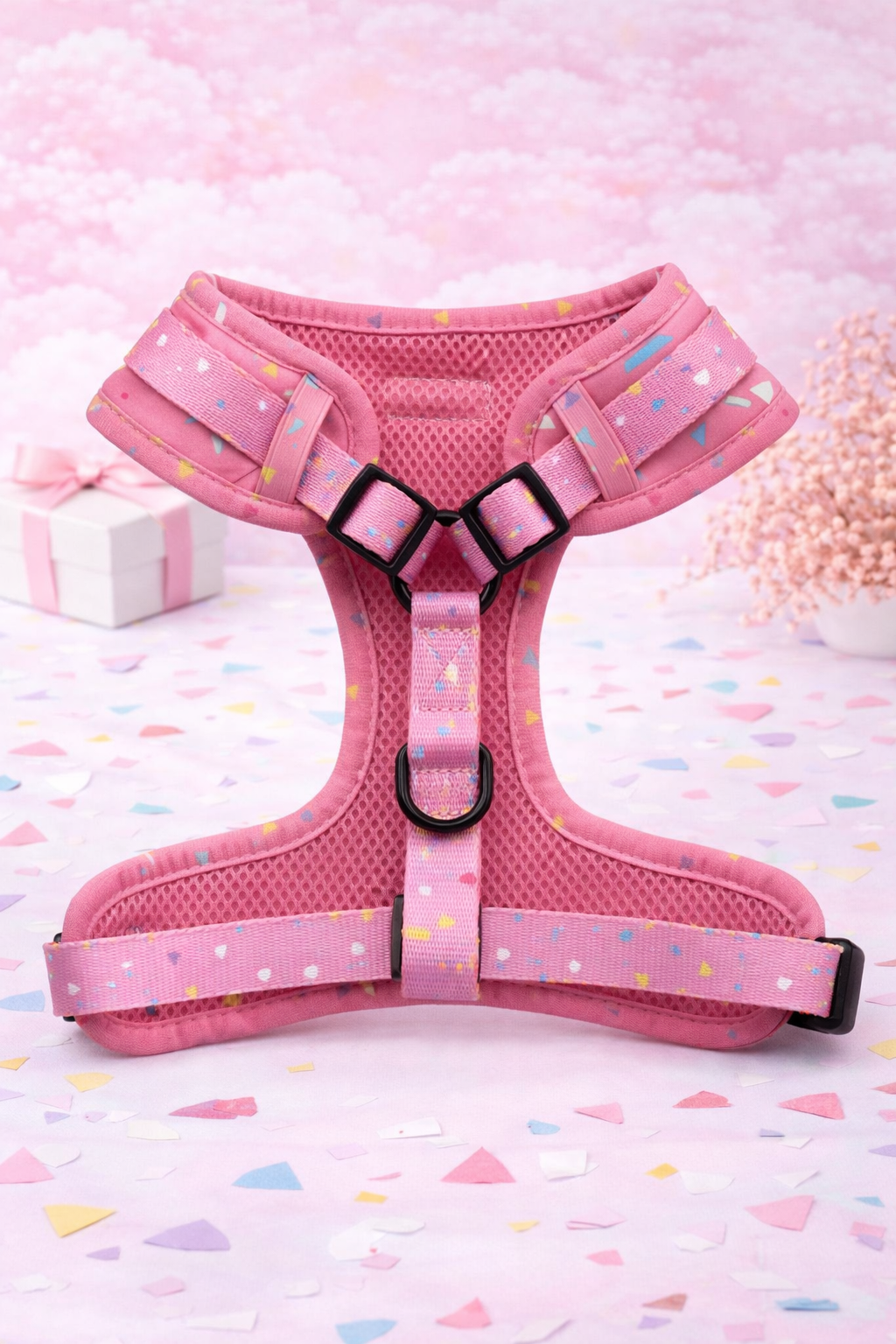 Bundle - Party Paws Matching Harness and Leash Set