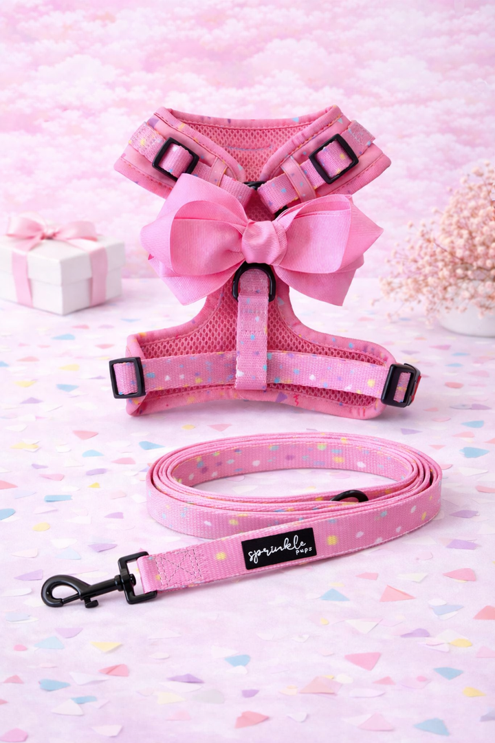 Bundle - Party Paws Matching Harness, Leash and Harness Bow Charm
