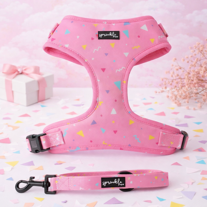 Bundle - Party Paws Matching Harness and Leash Set