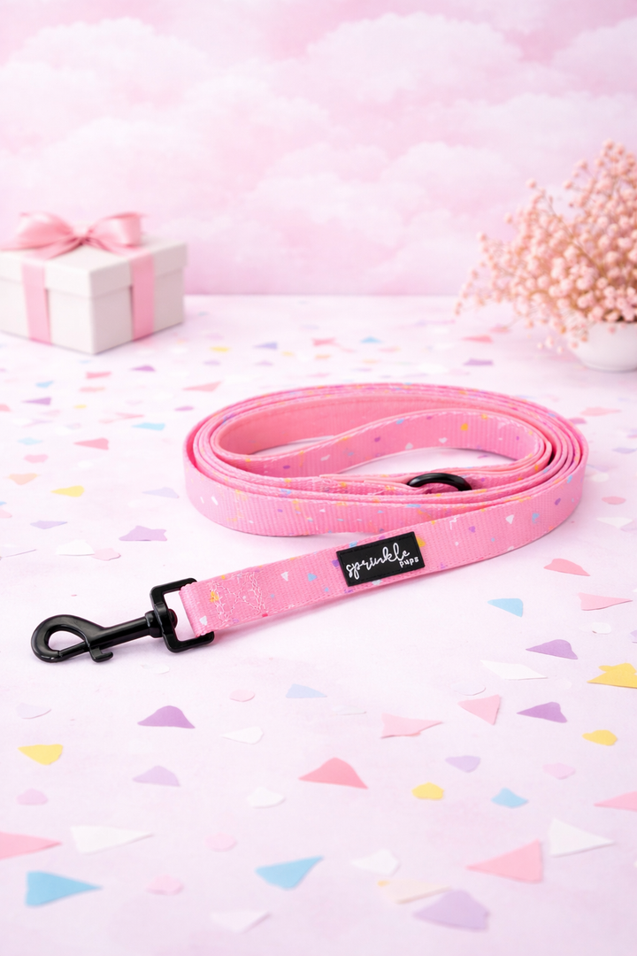 Bundle - Party Paws Matching Harness and Leash Set