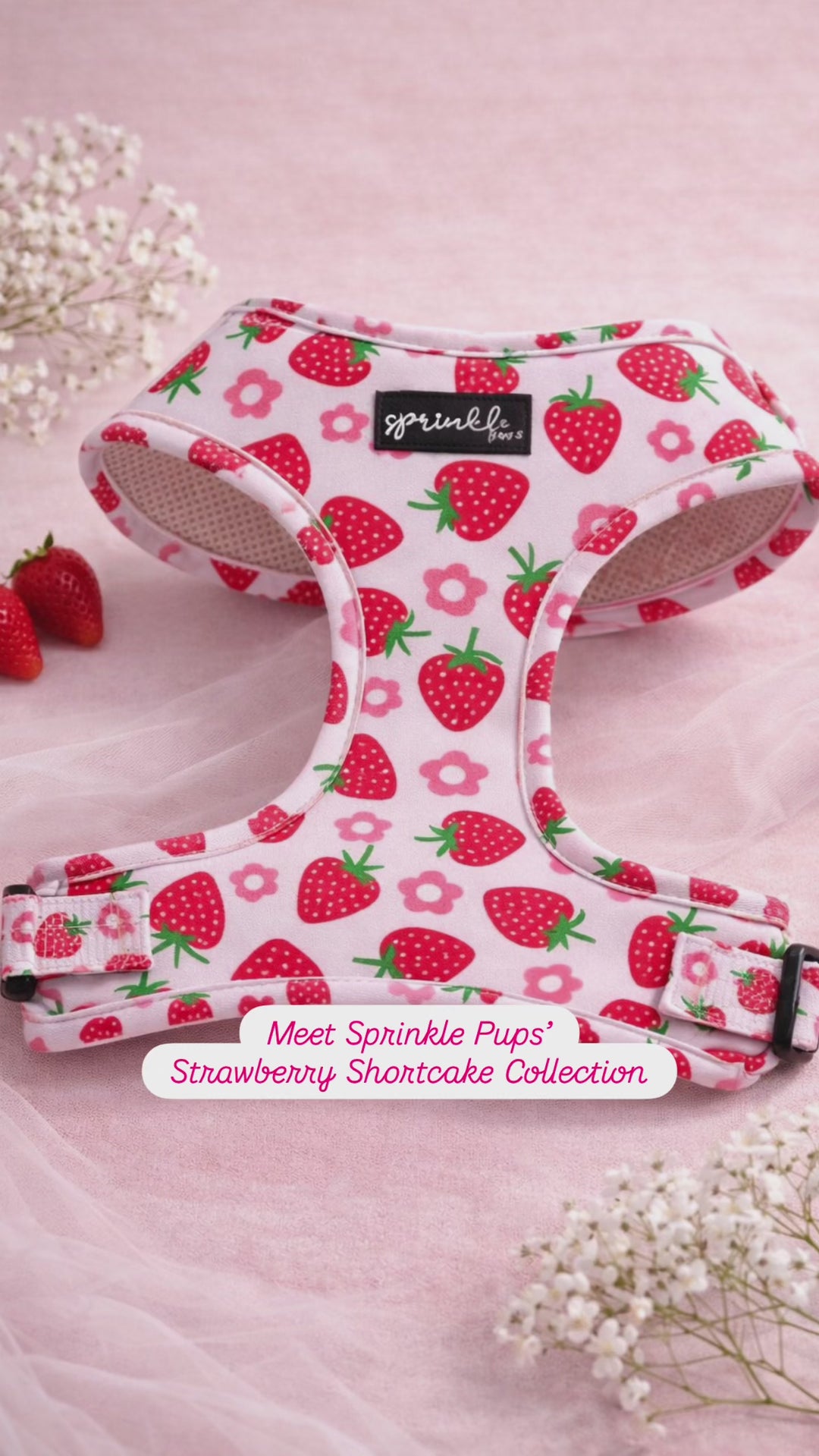Bundle - Strawberry Shortcake Matching Harness, Leash and Harness Charm Bow