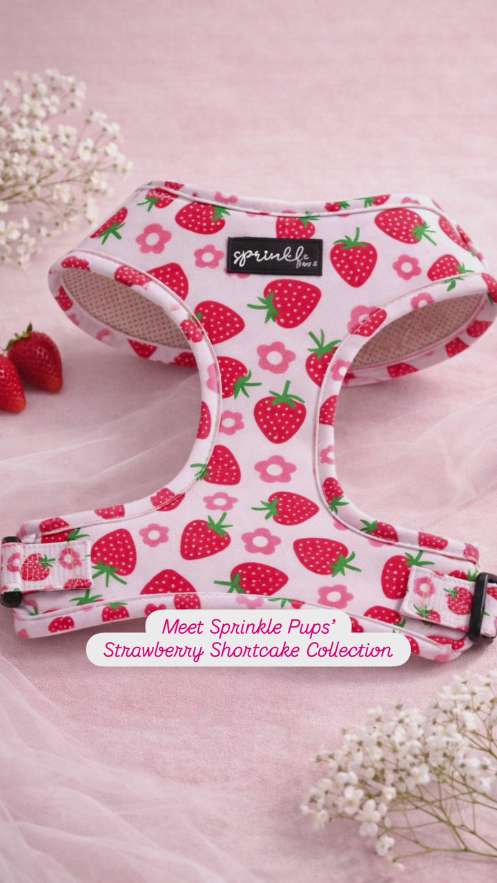 Bundle - Strawberry Shortcake Matching Harness, Leash and Harness Charm Bow