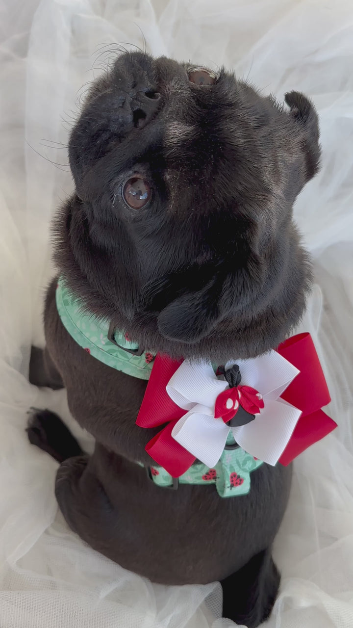 Ladybug Love Matching Harness, Leash and Harness Bow Set