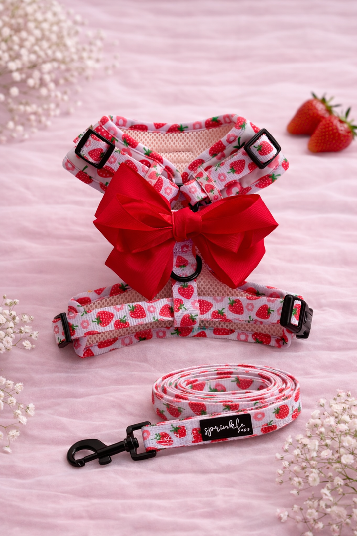 Bundle - Strawberry Shortcake Matching Harness, Leash and Harness Charm Bow