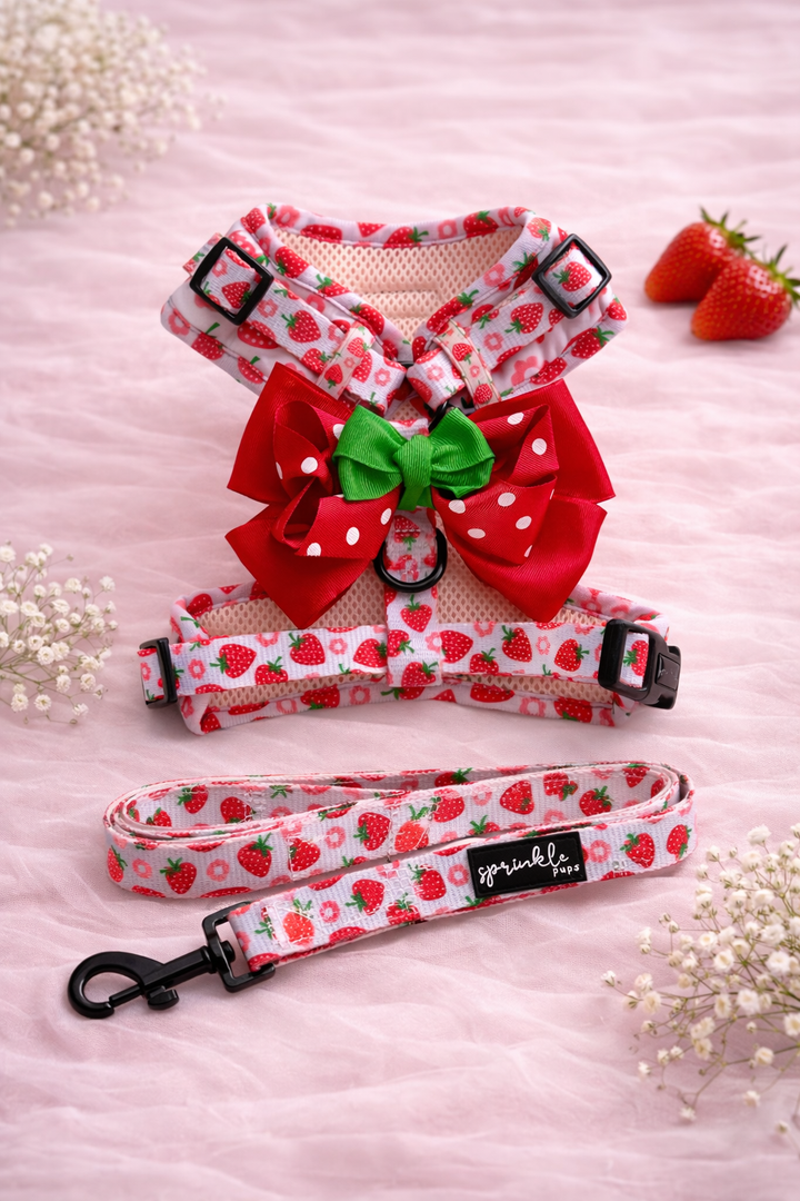 Bundle - Strawberry Shortcake Matching Harness, Leash and Harness Charm Bow