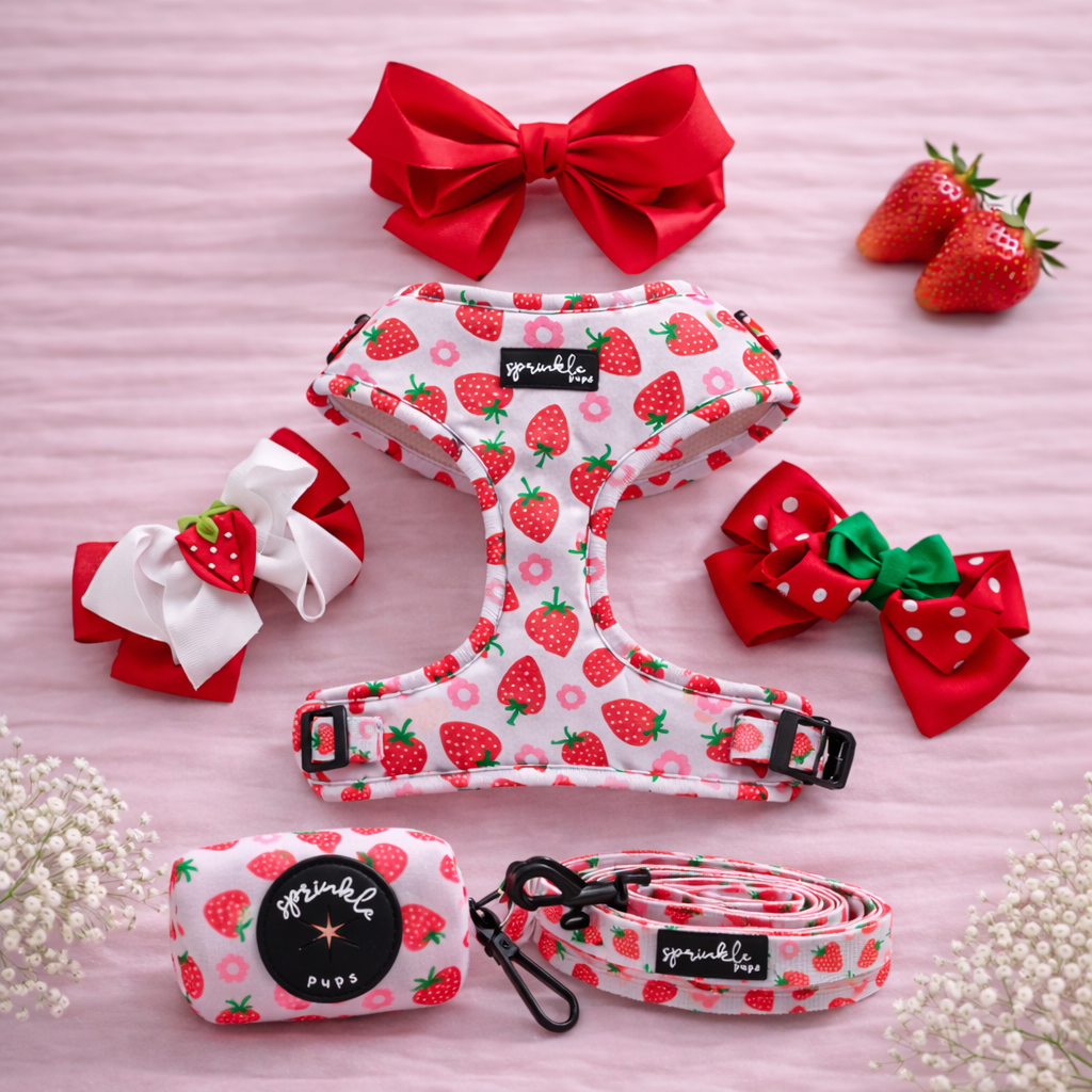Bundle - Strawberry Shortcake Matching Harness, Leash, Poo Bag Holder and Harness Charm Bow