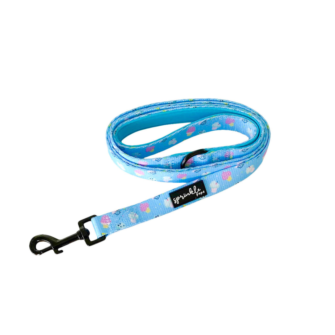 SOT Leash