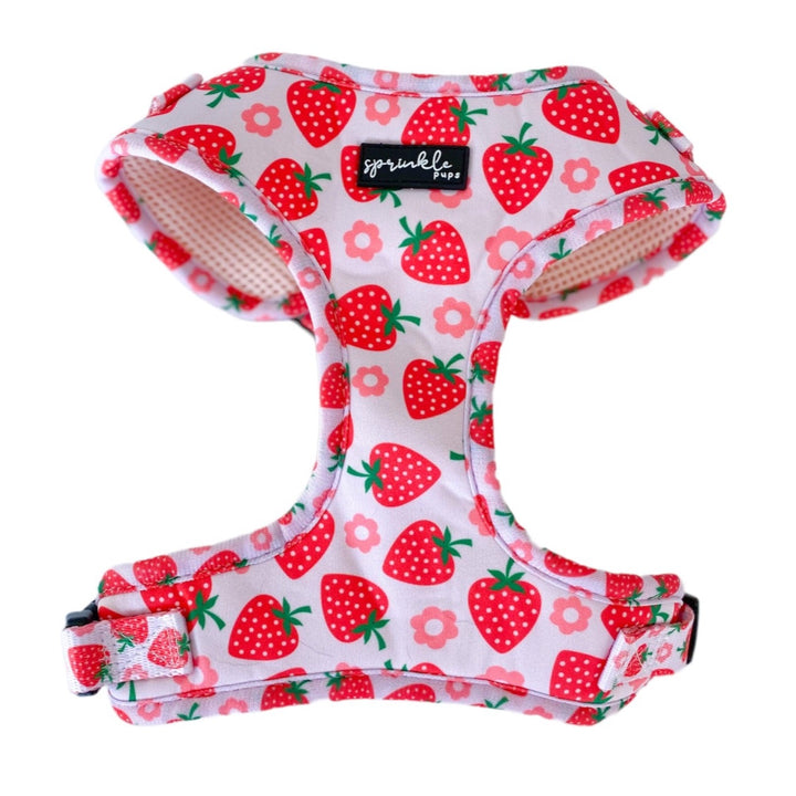Adjustable Dog Harness - Strawberry Shortcake