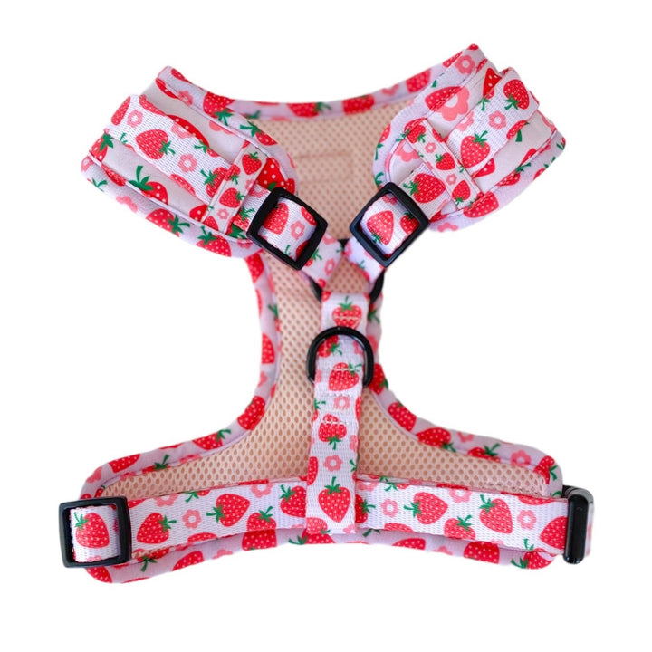 Adjustable Dog Harness - Strawberry Shortcake